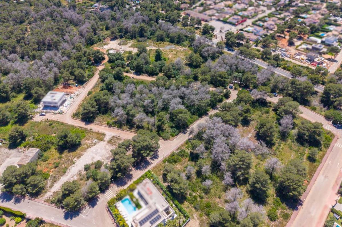 Terreno en venta en Jávea/Xàbia, Alicante photo 3