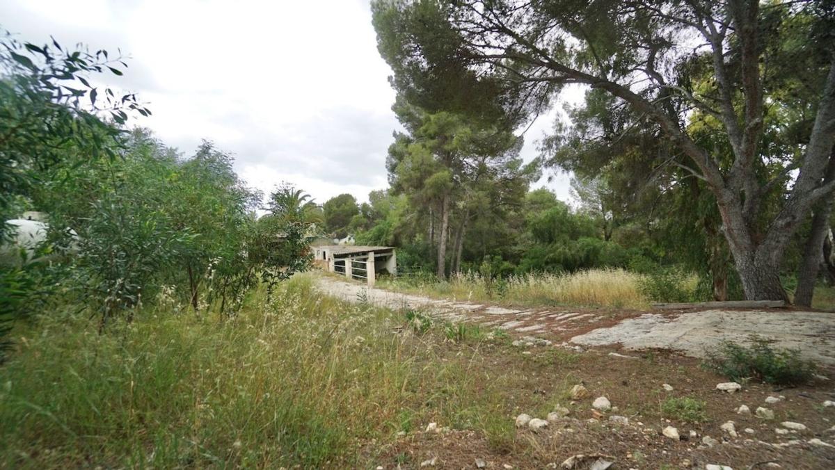 Terreno en venta en Moraira, Alicante photo 3
