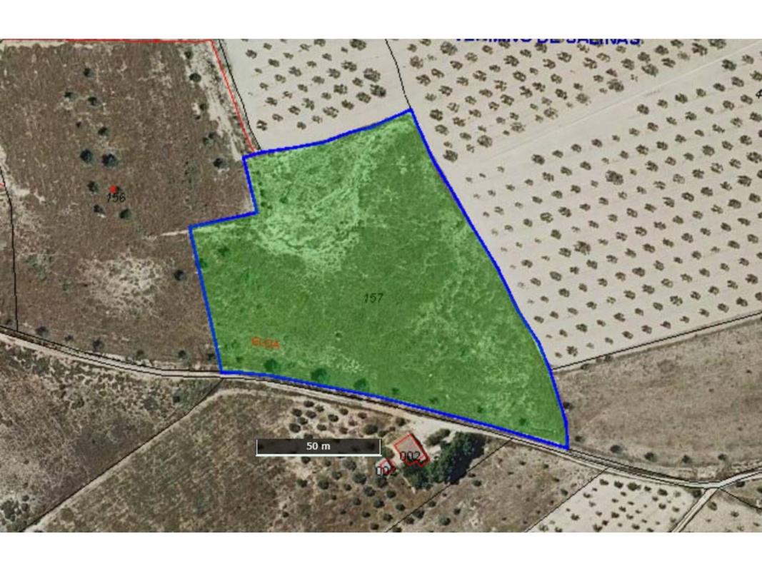 Terreno en venta en Salinas, Alicante photo 1