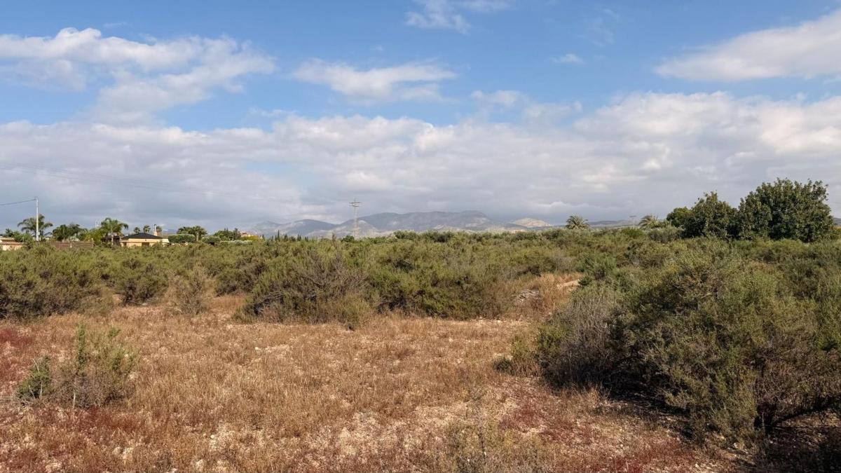 Terreno en venta en Elche / Elx, Alicante photo 1