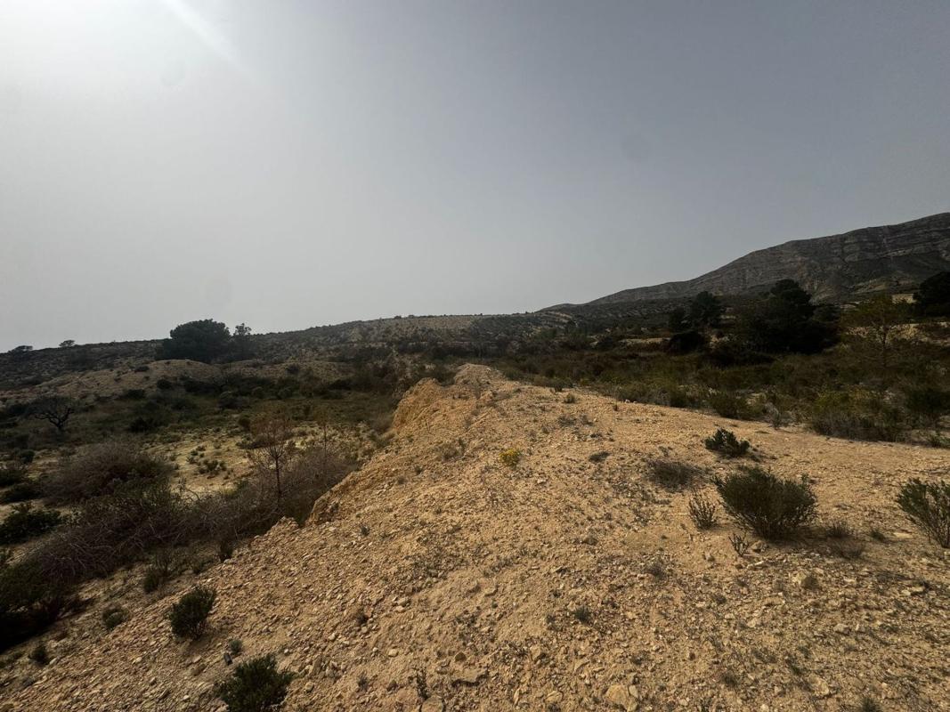 Terreno en venta en Agost, Alicante photo 3