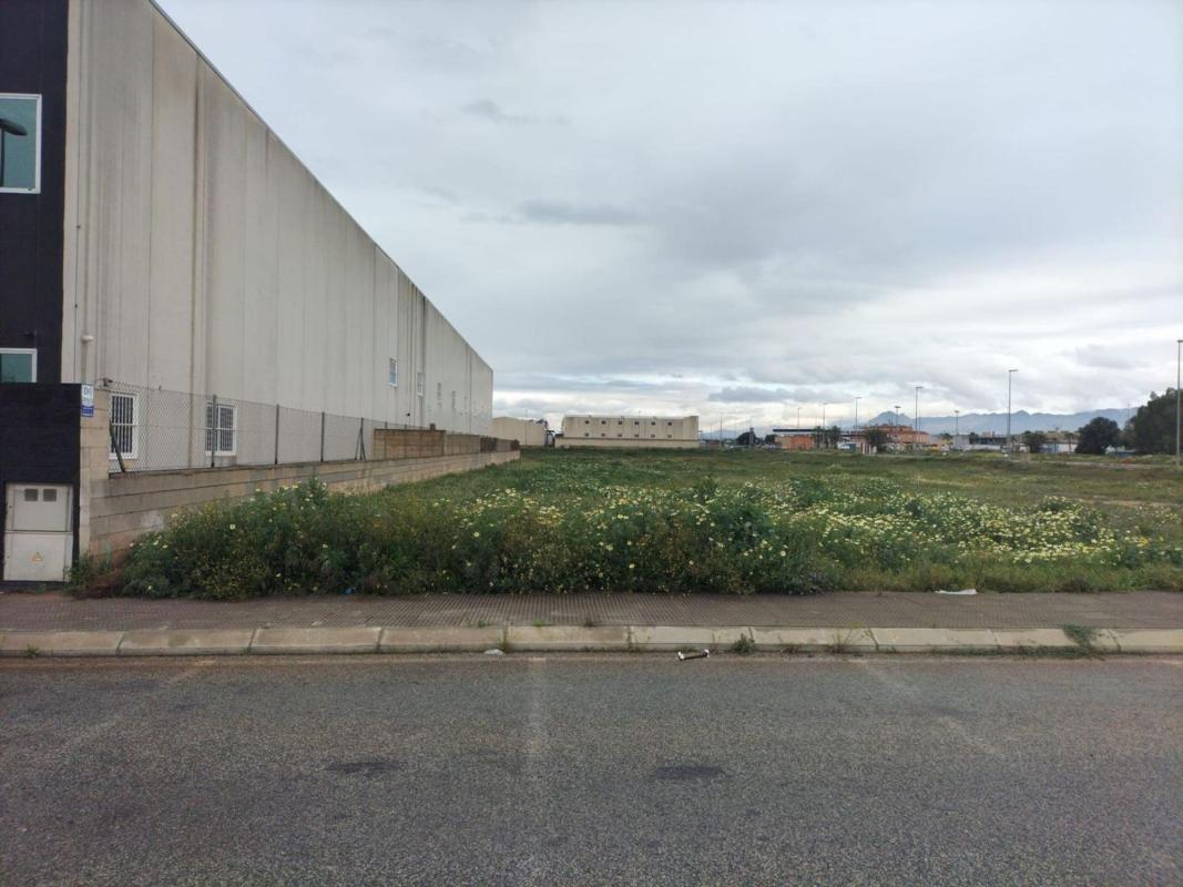 Terreno en venta en Cox, Alicante photo 4