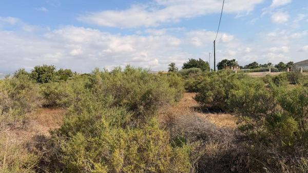 Terreno en Algoda-Matola-Llano de San José, Elche / Elx photo 2