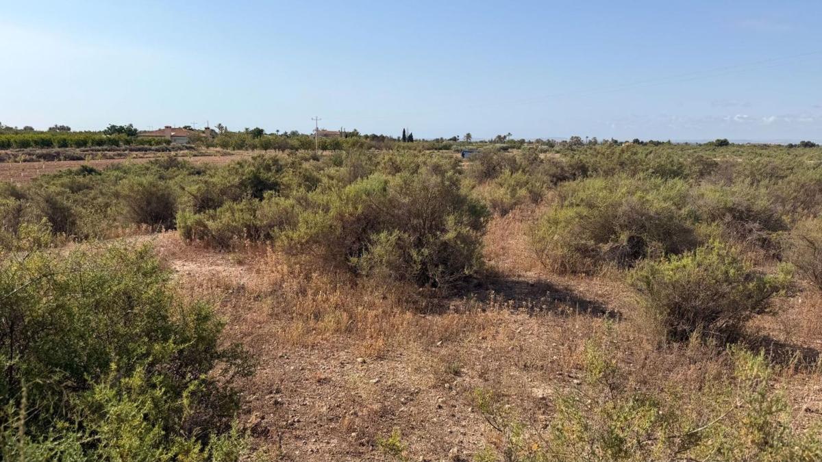 Terreno en venta en Elche / Elx, Alicante photo 3