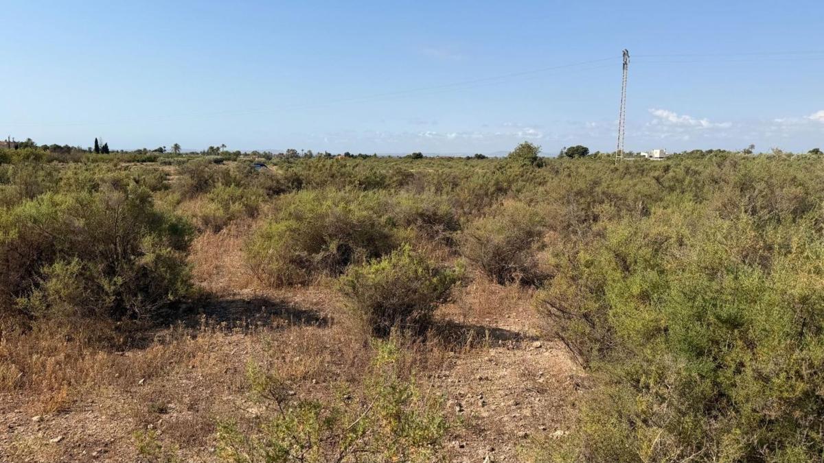 Terreno en venta en Elche / Elx, Alicante photo 4