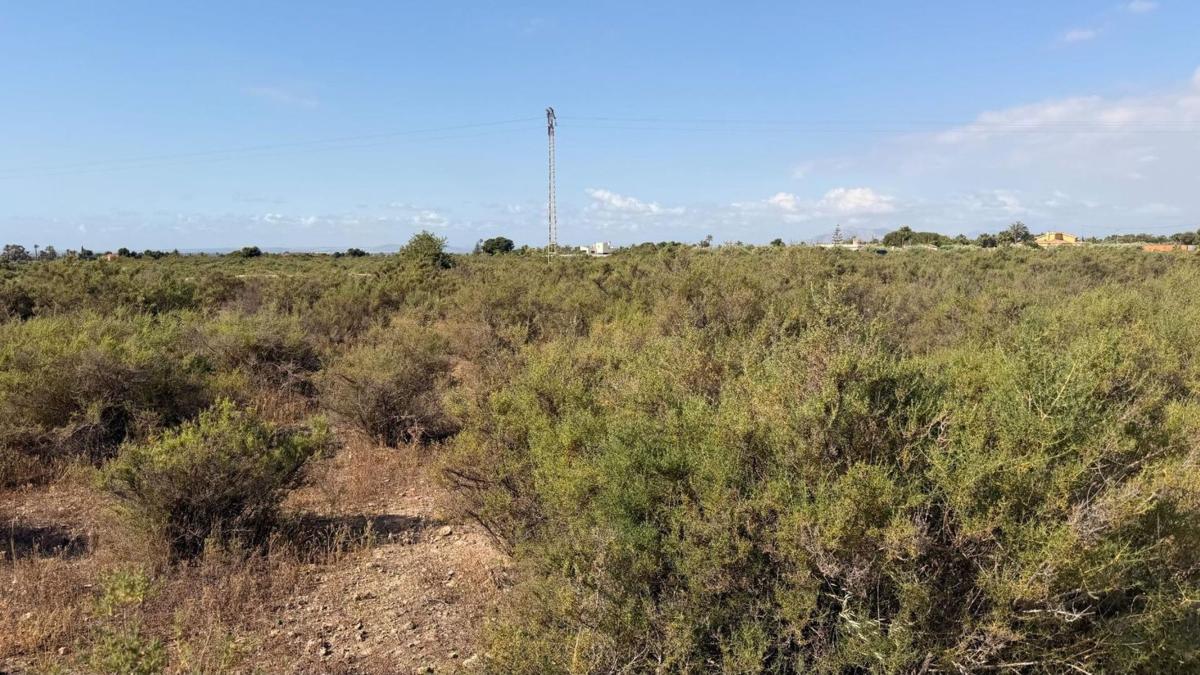 Terreno en venta en Elche / Elx, Alicante photo 5