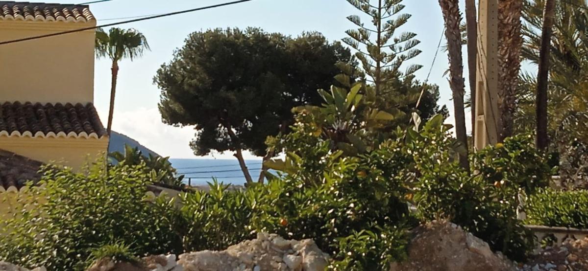 Properties for sale and rent in Spain photo 2