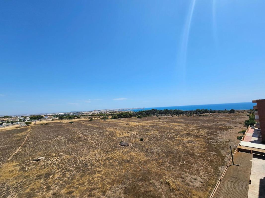 Sale of apartment in Piso en Punta Prima, Torrevieja, Torrevieja
 photo 2