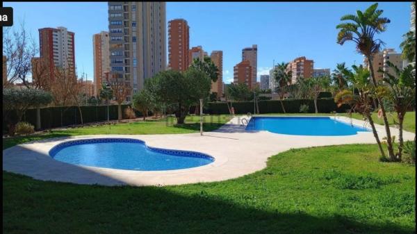 Venta de piso en Piso en Avenida del Municipi, 14, Pueblo Levante, Benidorm, Benidorm
thumbnail 3