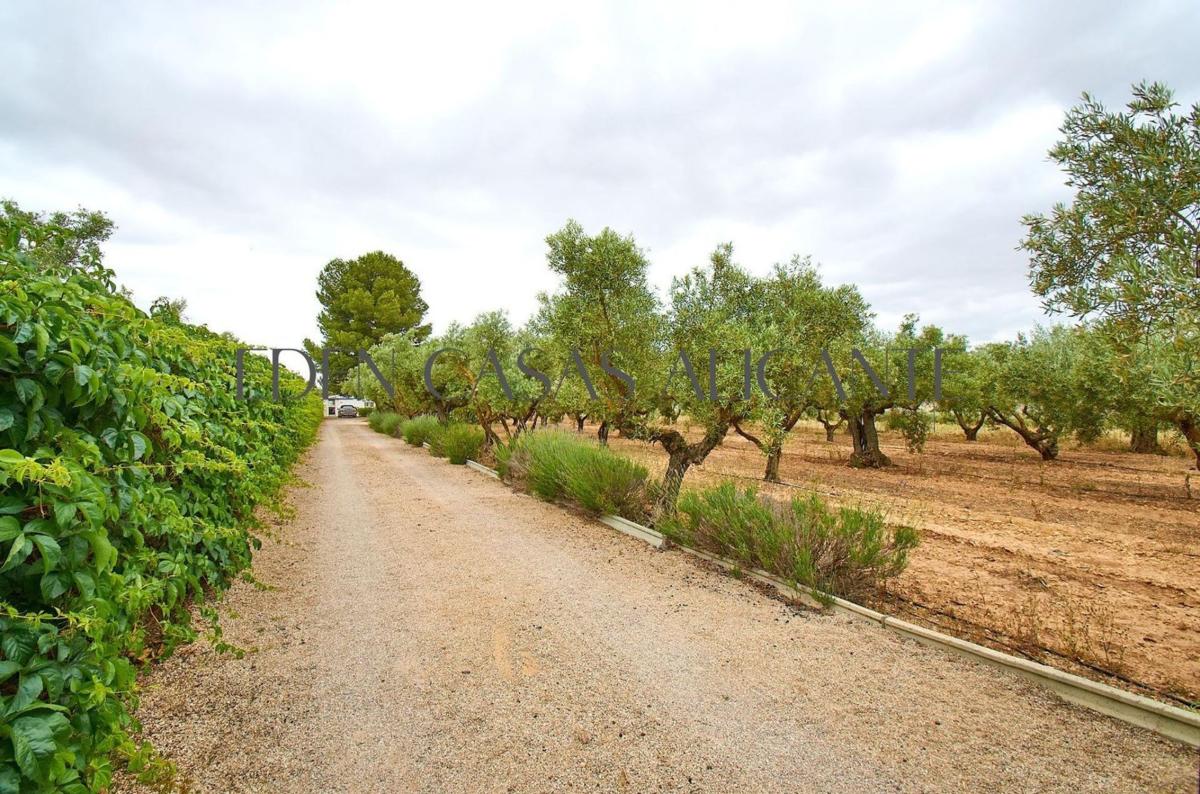 Properties for sale and rent in Spain photo 1