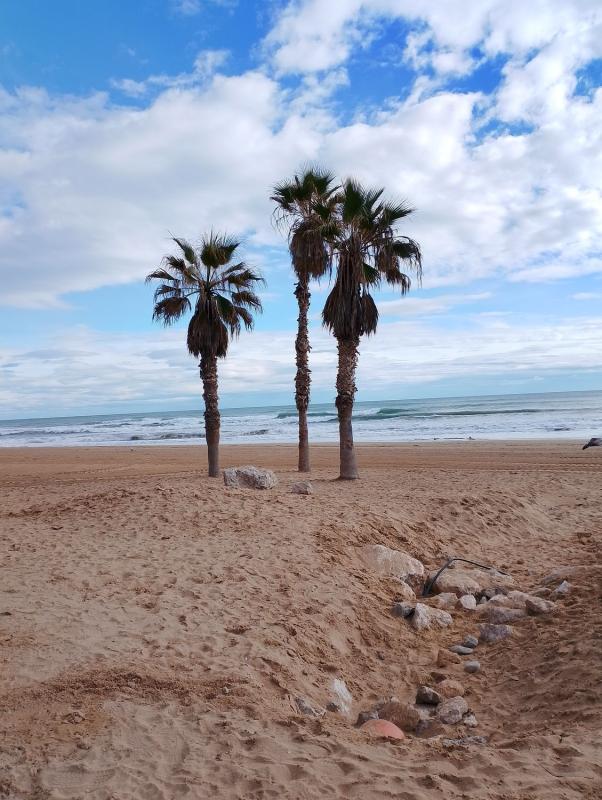 Venta de estudio en Estudio en Avenida Bélgica, 5, Los Europeos, Torrevieja, Torrevieja photo 2