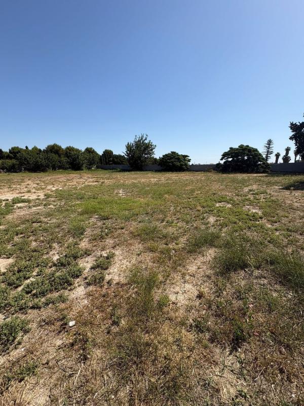 Venta de finca rústica en Finca rústica en Molins-Campaneta-San Bartolomé, Orihuela , Orihuela photo 5