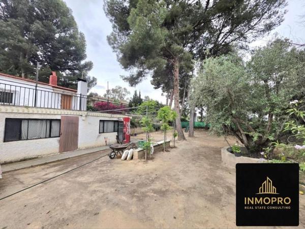 Casa o chalet independiente en Camino Campo Alto s/n, Campo Alto, Elda photo 1
