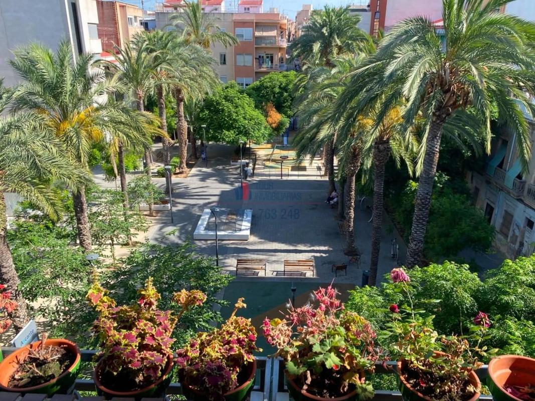 Venta de piso en Piso en Calle Tabarca, 11, Carolinas Bajas, Alicante / Alacant, Alicante / Alacant
 photo 2