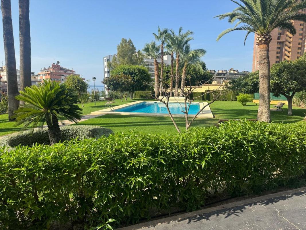 Venta de piso en Piso en Avenida Rei Jaume I, 5, Pueblo Poniente, Benidorm, Benidorm
photo 2