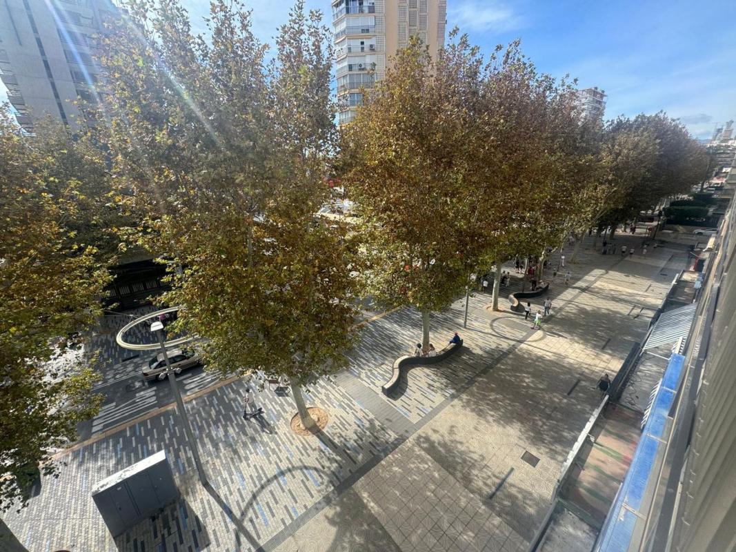 Venta de piso en Piso en Avenida del Mediterráneo, 4, Playa de Levante, Benidorm, Benidorm
photo 3