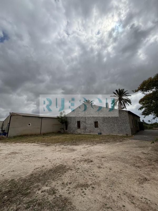 Venta de finca rústica en Finca rústica en La Hoya-Daimes-El Derramador, Elche / Elx , Elche / Elx photo 2