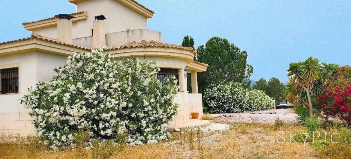 Properties for sale and rent in Spain photo 1
