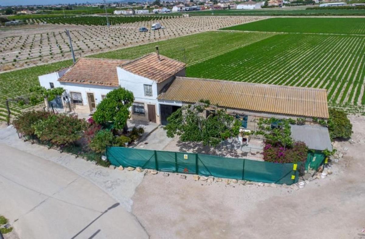 Venta de finca rústica en Finca rústica en Desamparados-Hurchillo-Torremendo, Orihuela , Orihuela photo 1