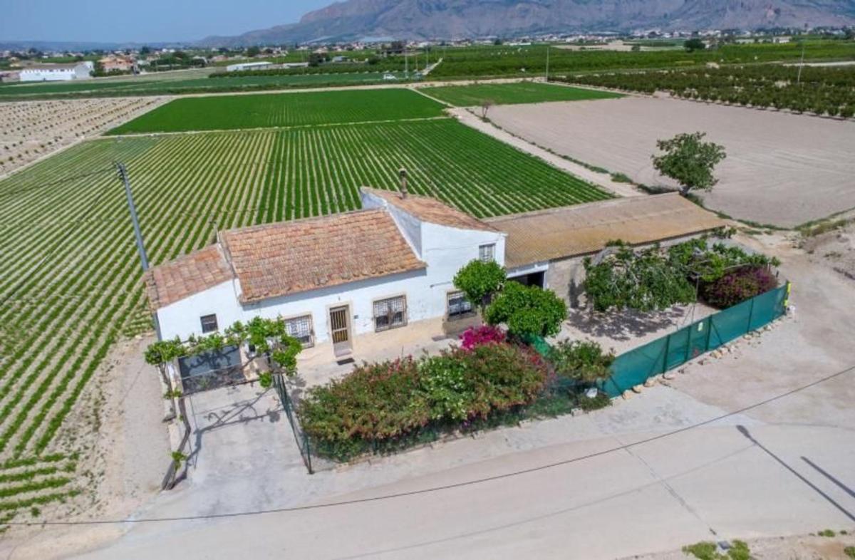 Venta de finca rústica en Finca rústica en Desamparados-Hurchillo-Torremendo, Orihuela , Orihuela photo 2