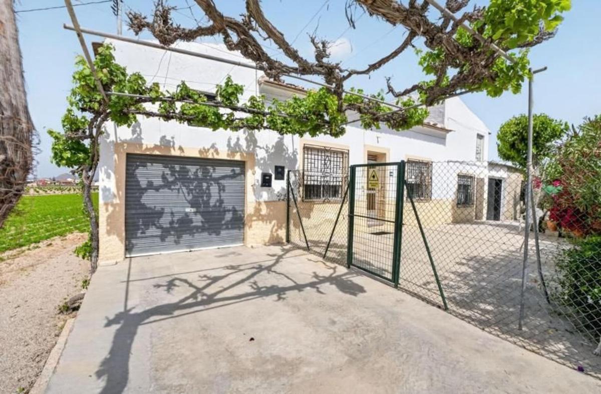 Venta de finca rústica en Finca rústica en Desamparados-Hurchillo-Torremendo, Orihuela , Orihuela photo 4