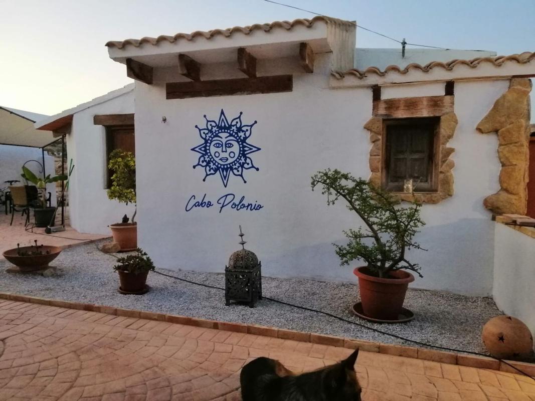 Propiedades en venta y alquiler en España photo 1