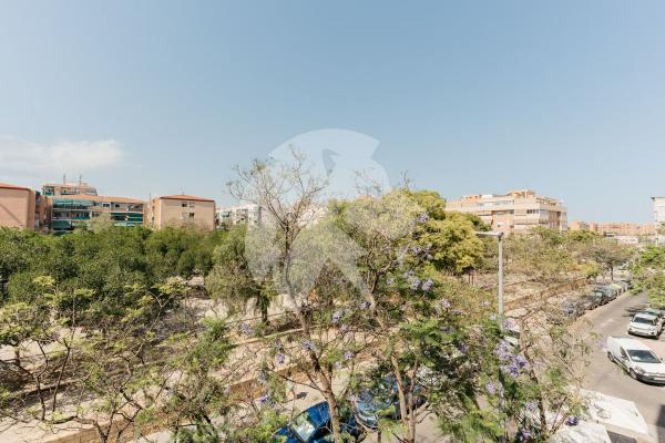 Venta de piso en Piso en Avenida Periodista Rodolfo de Salazar, Nou Alacant, Alicante / Alacant, Alicante / Alacant
thumbnail 2
