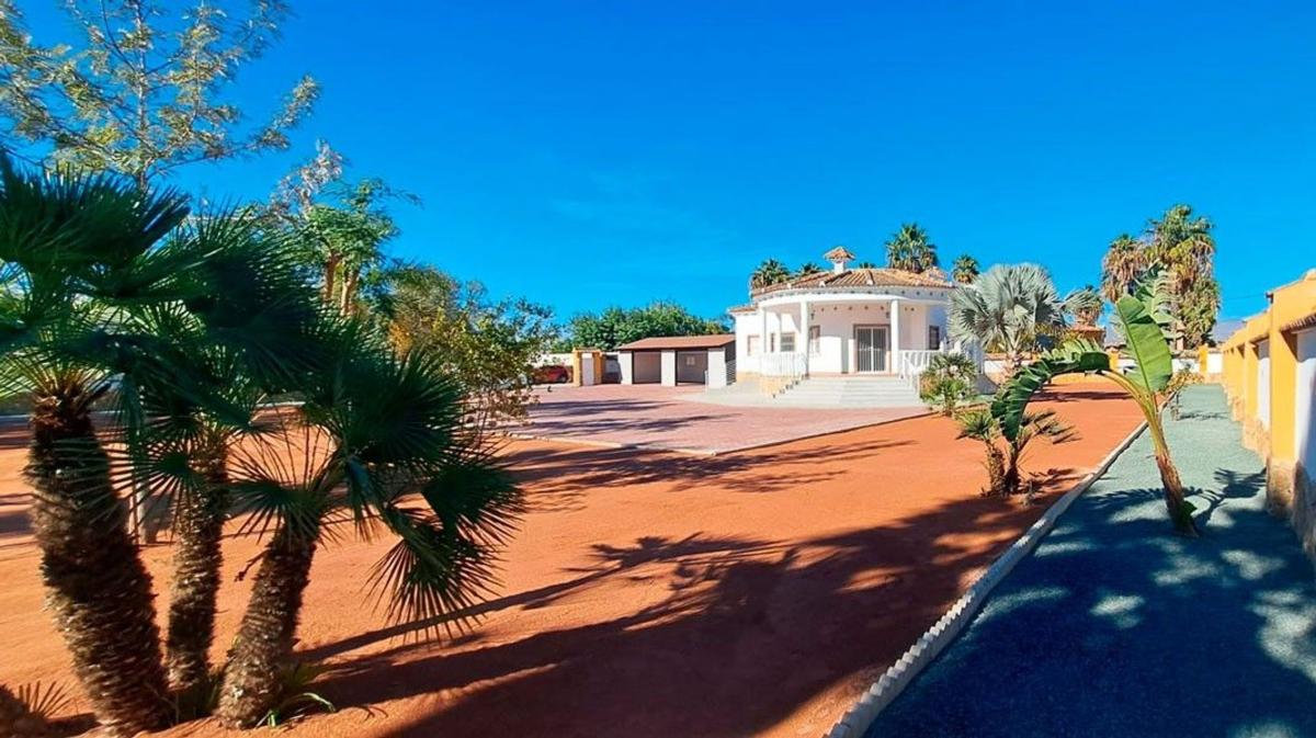 Properties for sale and rent in Spain photo 1