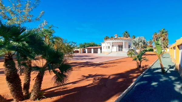 Casa o chalet independiente en Catral photo 1
