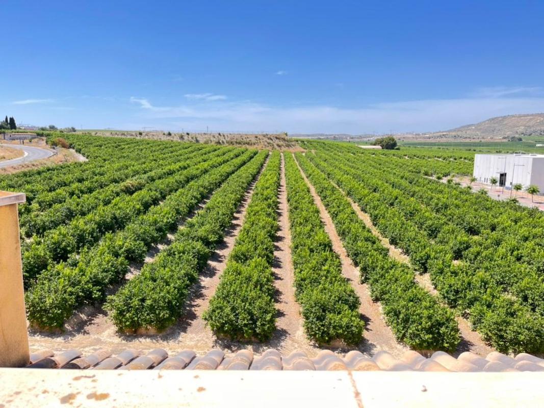 Venta de duplex en Dúplex en Calle Donantes, 3, Algorfa, Algorfa photo 1