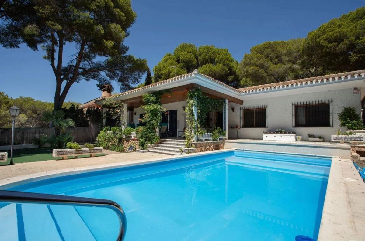 Properties for sale and rent in Spain photo 1
