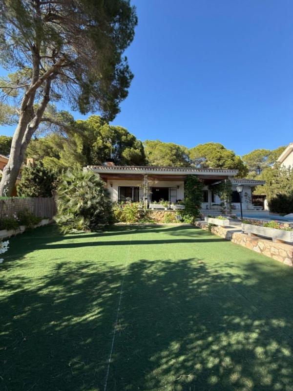 Properties for sale and rent in Spain photo 4