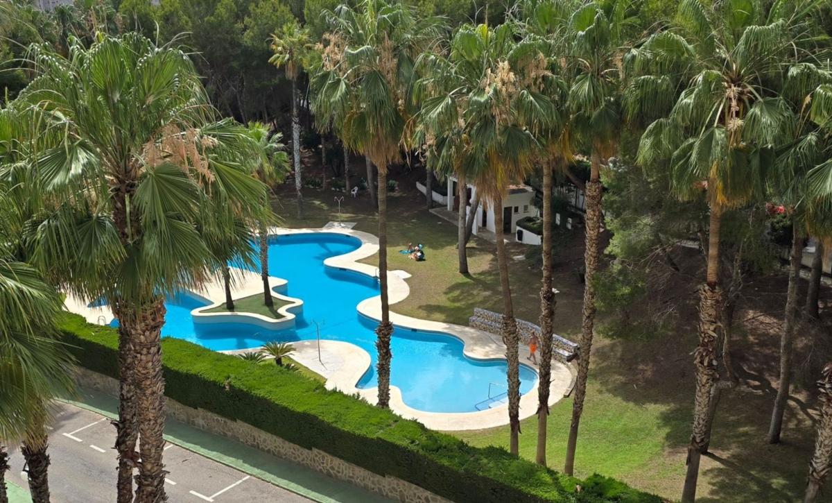 Venta de piso en Piso en Campoamor, Orihuela, Orihuela
 photo 4