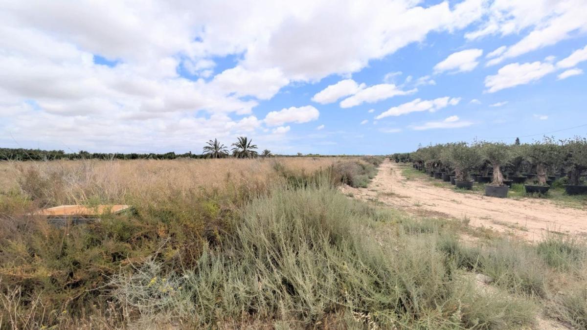 Terreno en venta en Elche / Elx, Alicante photo 4