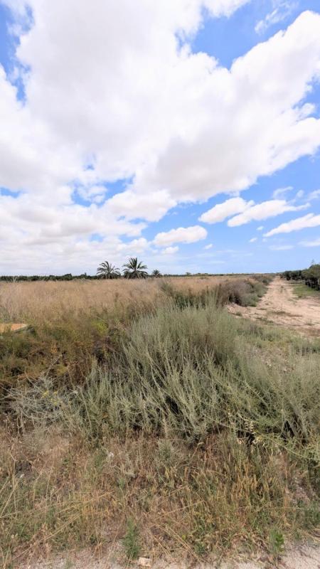 Terreno en venta en Elche / Elx, Alicante photo 5