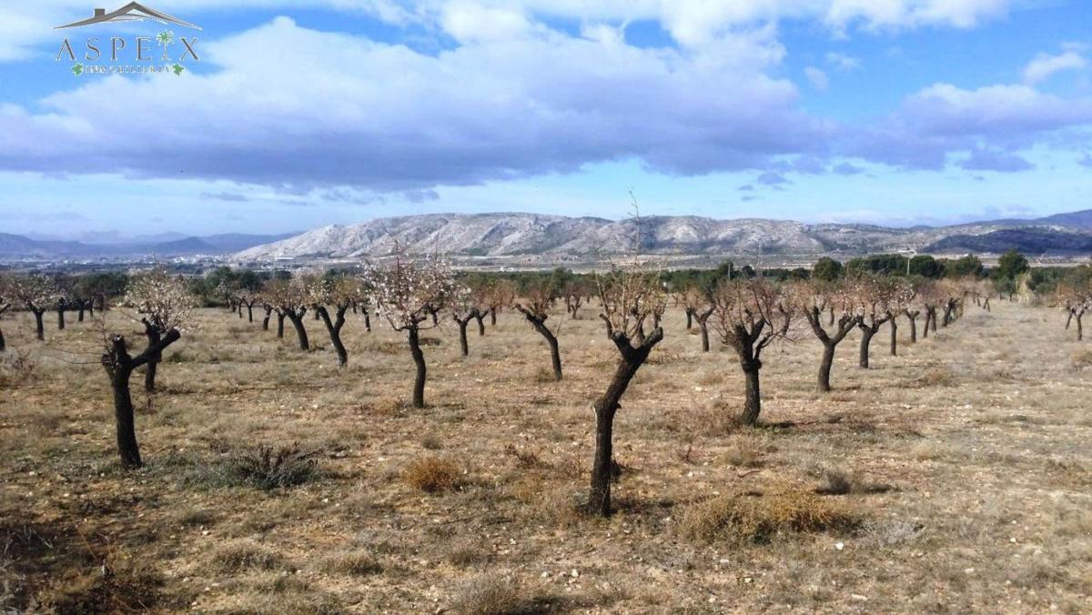 Działka na sprzedaż w Biar, Alicante photo 3