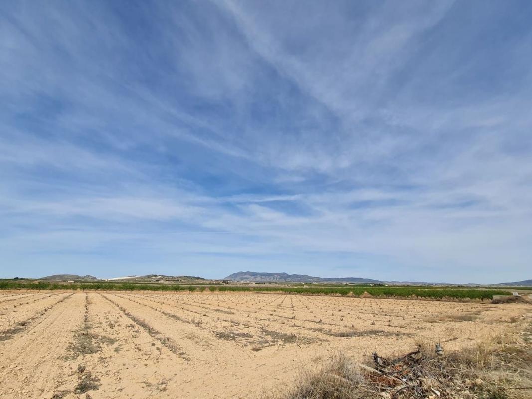 Terreno en venta en Pinoso, Alicante photo 4