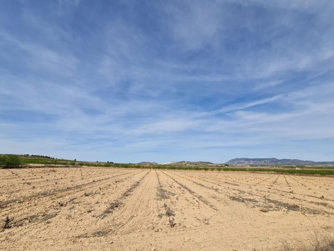 Terreno en venta en Pinoso, Alicante photo 5