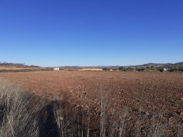 Terreno en Pinoso photo 3