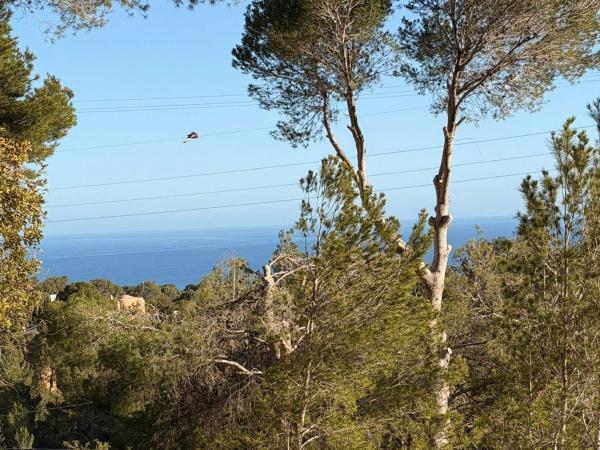 Terreno en Altea la Vella, Altea photo 1