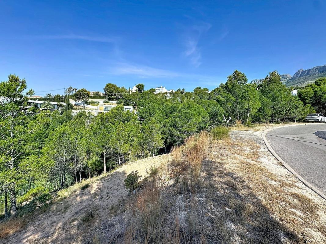 Terreno en venta en Altea, Alicante photo 2