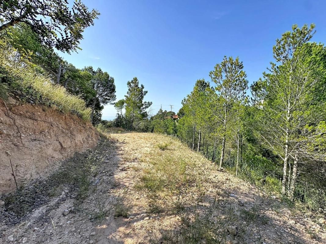 Terreno en venta en Altea, Alicante photo 3