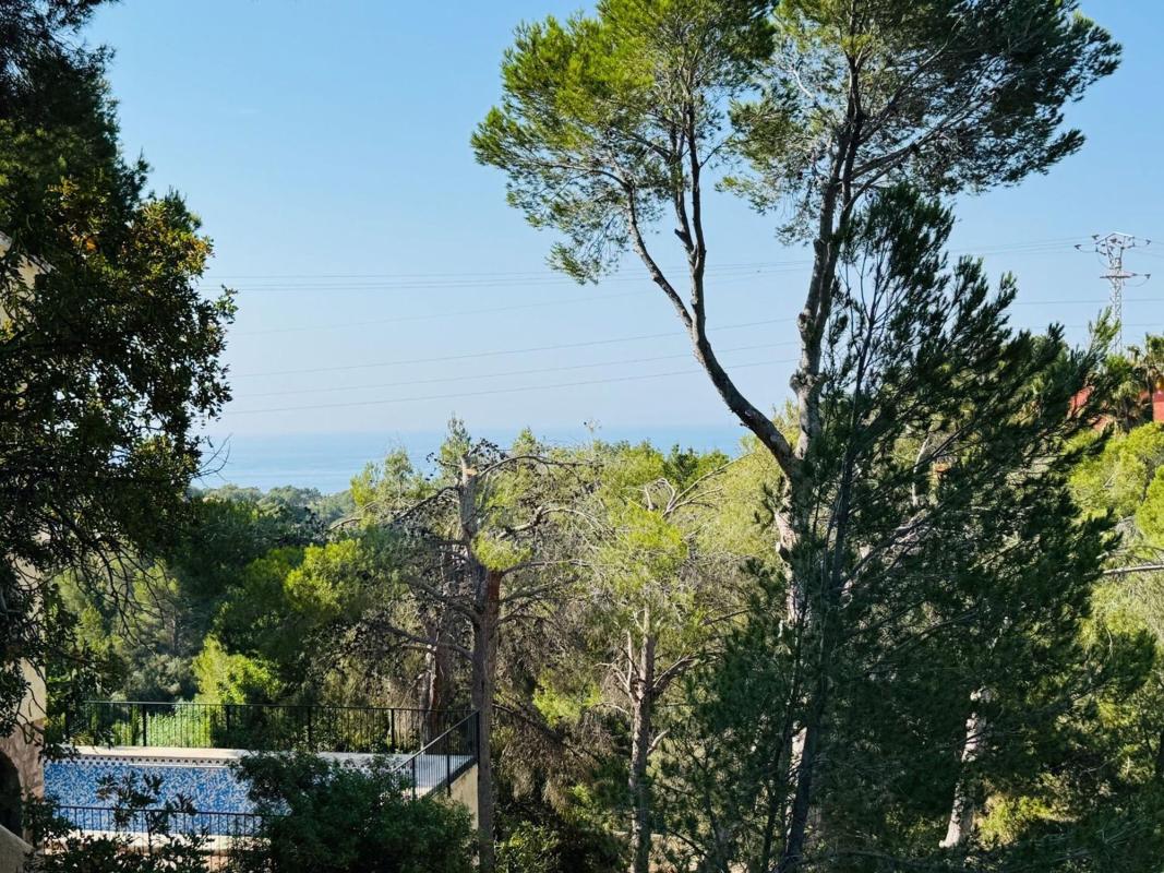 Terreno en venta en Altea, Alicante photo 4