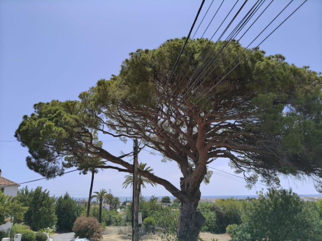 Działka na sprzedaż w Altea, Alicante photo 4