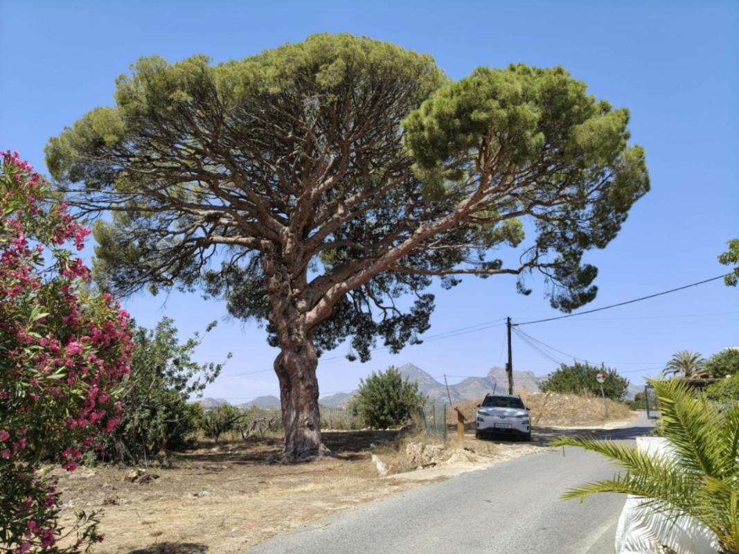 Działka na sprzedaż w Altea, Alicante photo 5