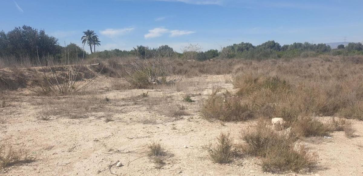 Terreno en venta en Benferri, Alicante photo 1