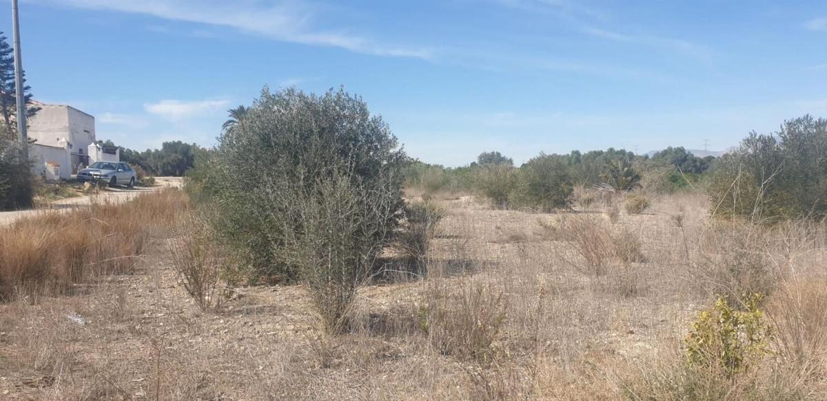 Terreno en venta en Benferri, Alicante photo 2