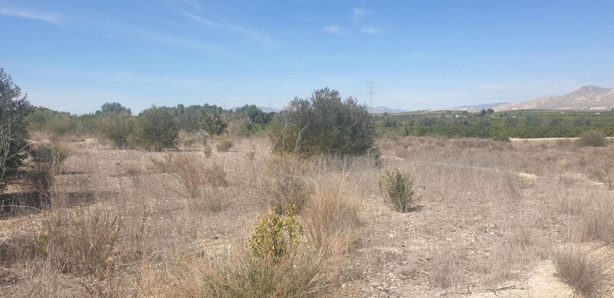 Terreno en venta en Benferri, Alicante photo 3