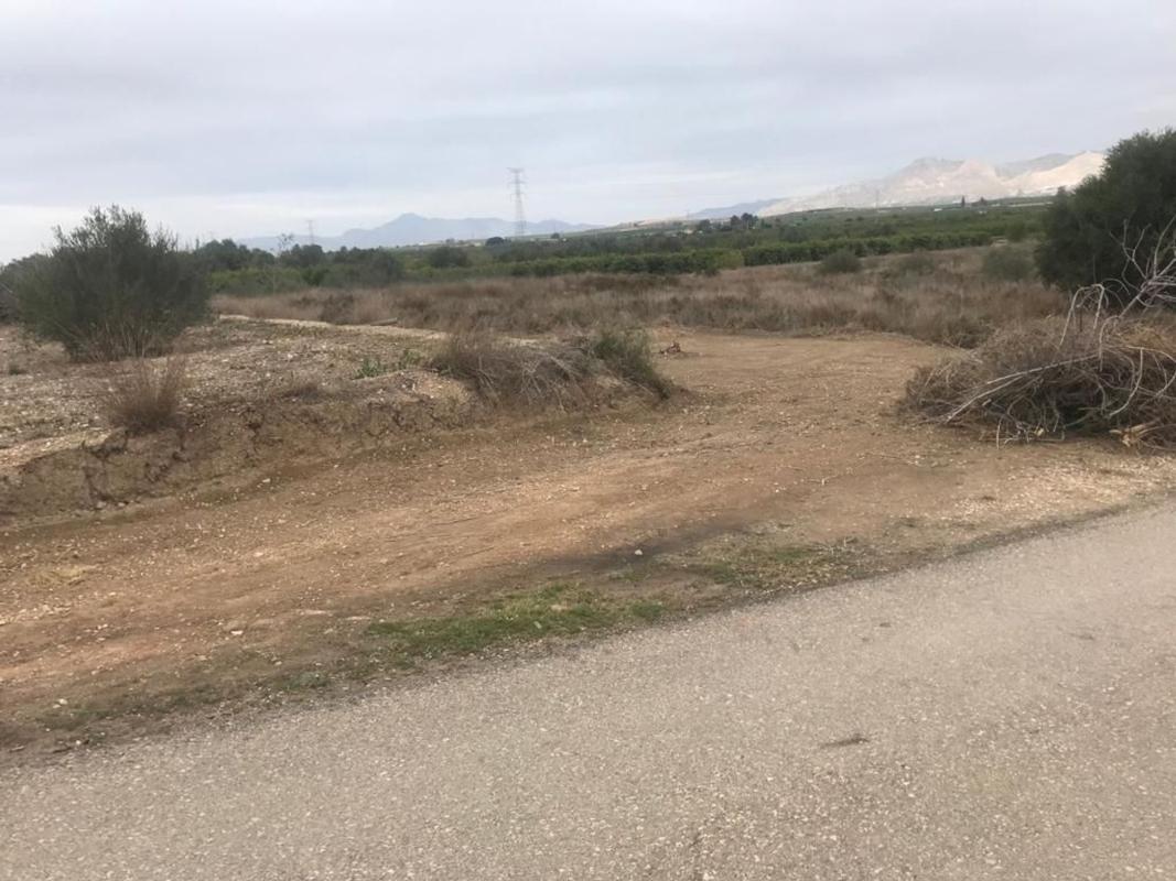 Terreno en venta en Benferri, Alicante photo 4
