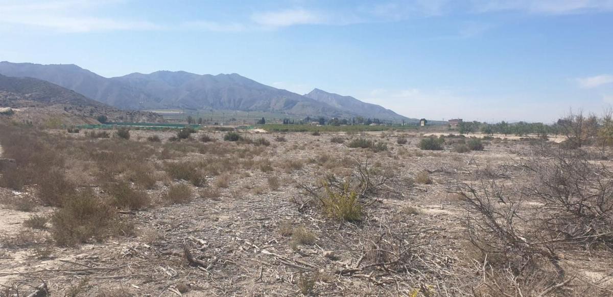 Terreno en venta en Benferri, Alicante photo 2